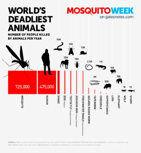 Bill Gates on the World's Deadliest Animals 