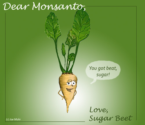 Monsanto Gets Beat, May Lose Beets (cartoon)