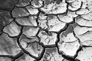 Drought Severity May Have Been Exaggerated 
