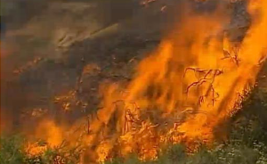 Brush burning in one of the mid-May San Diego fires (from KHQ6 collection)