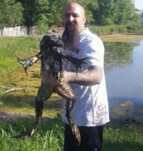 11 pound bullfrog