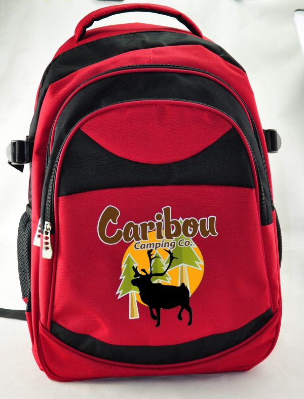 green backpack 2